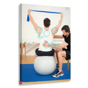 Fisioterapia Vertical Fsv9