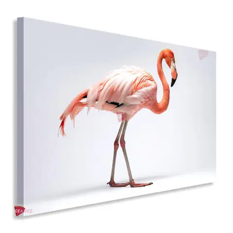 Flamingos Horizontal Fgh13