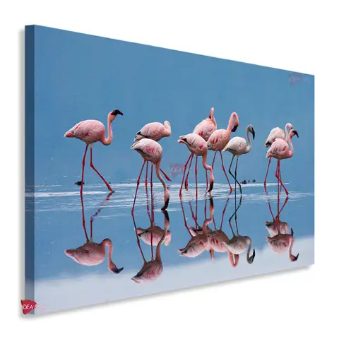 Flamingos Horizontal Fgh4