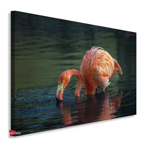 Flamingos Horizontal Fgh7