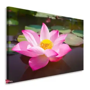 Flor De Loto Horizontal Fth5