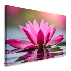 Flor De Loto Horizontal Fth6
