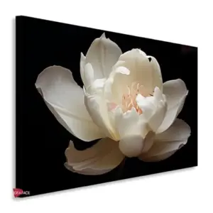 Flores Horizontal Flh10