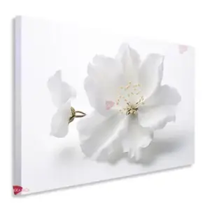 Flores Horizontal Flh19
