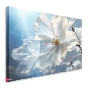 Flores Horizontal Flh46