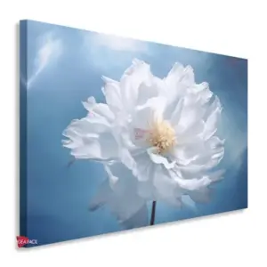 Flores Horizontal Flh48