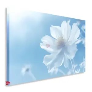 Flores Horizontal Flh52