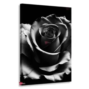 Flores Vertical Flv1