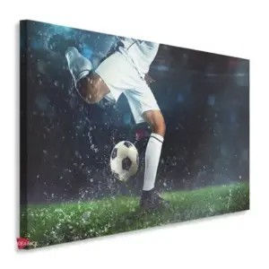 Fútbol Horizontal Fth11