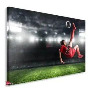Fútbol Horizontal Fth14