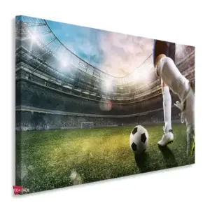 Fútbol Horizontal Fth15