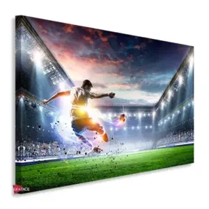 Fútbol Horizontal Fth19