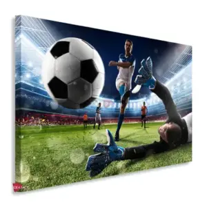 Fútbol Horizontal Fth25
