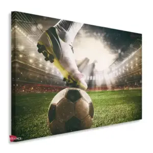 Fútbol Horizontal Fth7