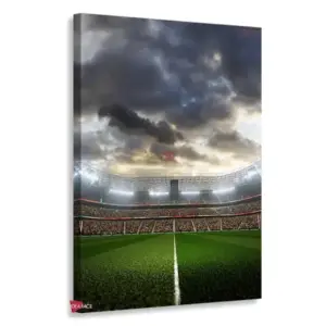 Fútbol Vertical Ftv9