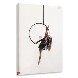 Gimnasia Vertical Gmv5