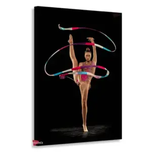 Gimnasia Vertical Gmv6