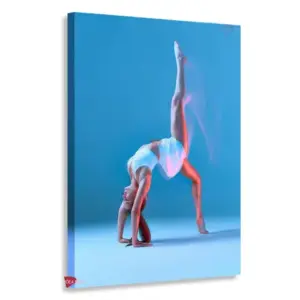 Gimnasia Vertical Gmv7