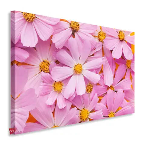Girly Horizontal Gyh49