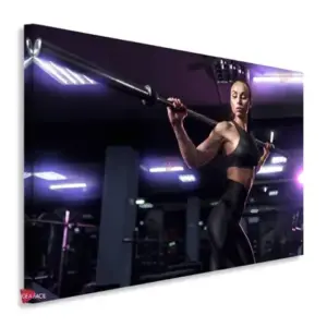 Gym Horizontales Gyh1