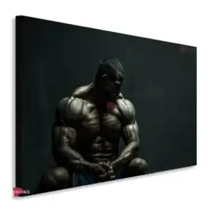 Gym Horizontales Gyh2