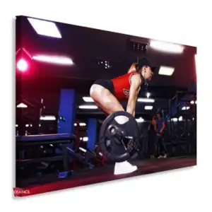 Gym Horizontales Gyh21