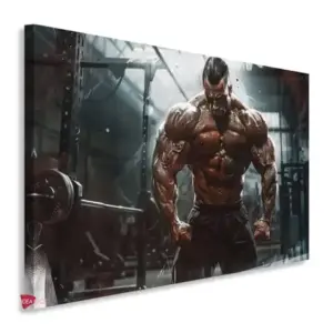 Gym Horizontales Gyh24