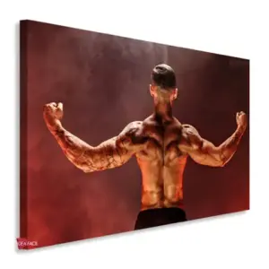 Gym Horizontales Gyh27