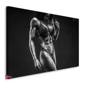 Gym Horizontales Gyh29
