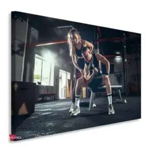 Gym Horizontales Gyh3