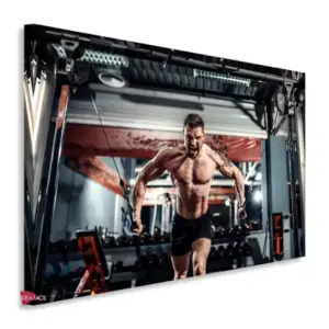 Gym Horizontales Gyh33