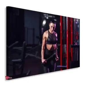 Gym Horizontales Gyh39