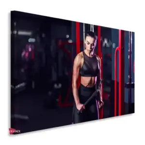 Gym Horizontales Gyh40