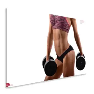 Gym Horizontales Gyh42