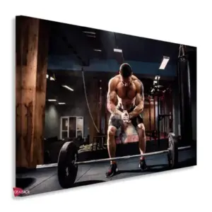 Gym Horizontales Gyh43