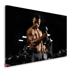 Gym Horizontales Gyh45