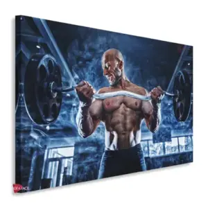 Gym Horizontales Gyh48