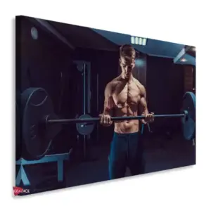Gym Horizontales Gyh52