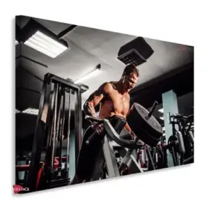 Gym Horizontales Gyh55