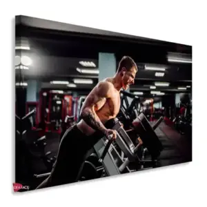 Gym Horizontales Gyh56
