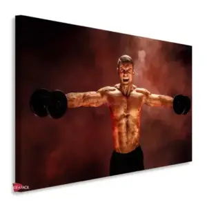 Gym Horizontales Gyh66