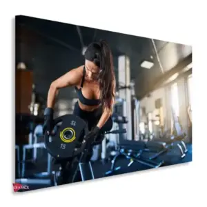 Gym Horizontales Gyh69
