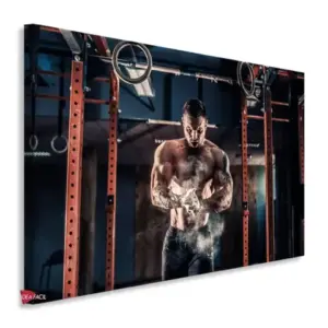 Gym Horizontales Gyh74