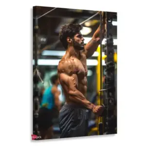 Gym Verticales Gyv19