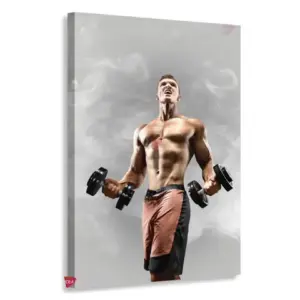 Gym Verticales Gyv2