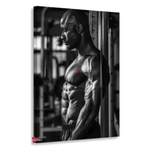 Gym Verticales Gyv20