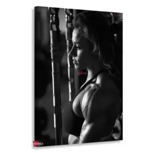 Gym Verticales Gyv24