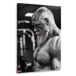 Gym Verticales Gyv25