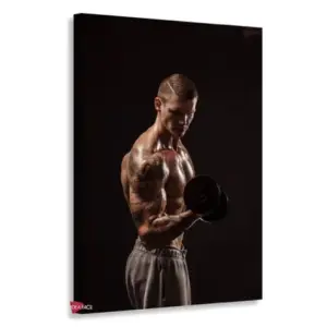 Gym Verticales Gyv6