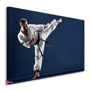 Karate Horizontal Krh10